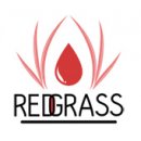 RedgrassGames