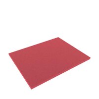 FS010Bred 345 mm x 275 mm x 10 mm Boden / Schaumstoffzuschnitt für Shadowboard rot (wird für Sie bestellt/kein Lagerartikel)
