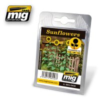 A.MIG-8458-Sunflowers