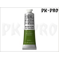 W&N WINTON ÖL Sap Green (37mL)