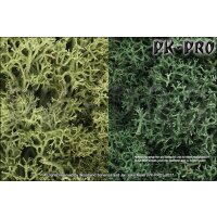 WS-Lichen-Light-Green-Mix-(Bag)-(2,83dm³/173in³)