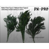 PK-Nature-Fern-Type-2-(200mL)