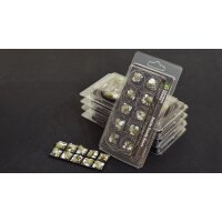 Winter Bases Square 20mm (x10)