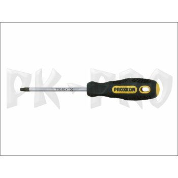 FLEX-DOT-screwdriver TTX 40 x 100
