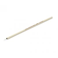 Pointed Brush (small)