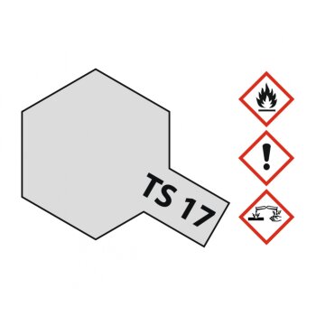 TS-17 Aluminum Silver Gloss 100ml