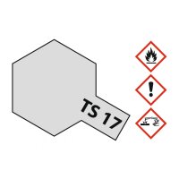 TS-17 Aluminum Silver Gloss 100ml