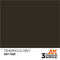 AK-11026-Tenebrous-Grey-(3rd-Generation)-(17mL)