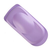 *AutoBorne 6007 Sealer Lilac 480ml