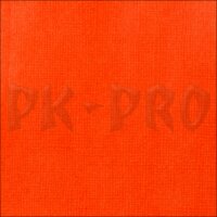 Liquitex Professional Acrylic Ink 30ml Flasche Rotorange Leuchtend (620)