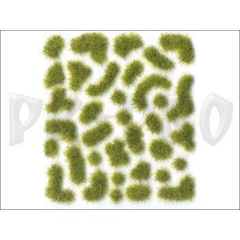 Vallejo-Scenery-Wild-Moss