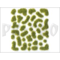 Vallejo-Scenery-Wild-Moss