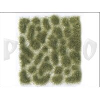 Vallejo-Scenery-Wild-Tuft-Dry-Green