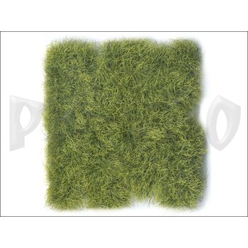 Vallejo-Scenery-Wild-Tuft-Jungle