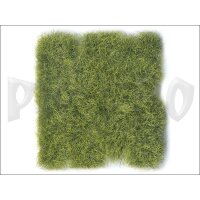 Vallejo-Scenery-Wild-Tuft-Jungle