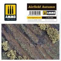 A.MIG-8482-Airfield-Autumn