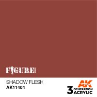 AK-11404-Shadow-Flesh-(3rd-Generation)-(17mL)