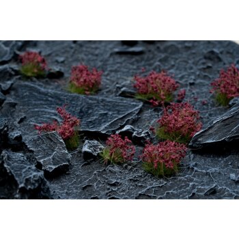 Dark Purple Flowers Wild