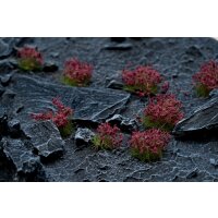 Dark Purple Flowers Wild