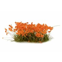 Orange Flowers Wild