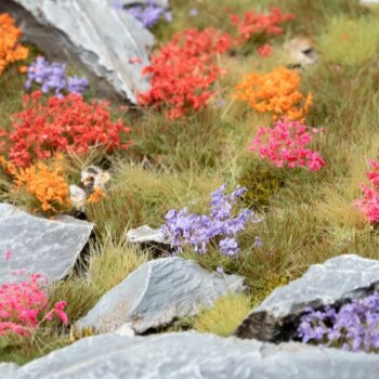 Tufts Garden Flowers Set Wild