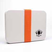 RedgrasGames - NEW - Painter Lite - 50sheets/2foams