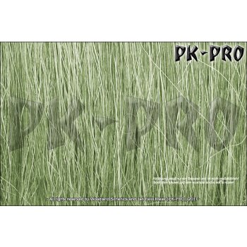 WS-FIELD-GRASS-Hohes-Gras-hellgrün