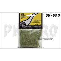 WS-FIELD-GRASS-Hohes-Gras-hellgrün