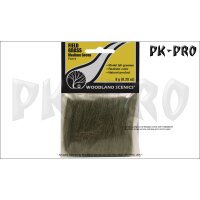 Field Grass Medium Green