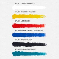 FLOWW - DR. FLOW´S PAINT CASE (24x20mL)