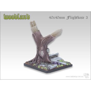 Woodland Bases - 40x40mm Flightbase 3