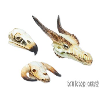 Monster Skull Set (3)