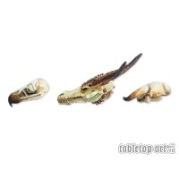 Monster Skull Set (3)