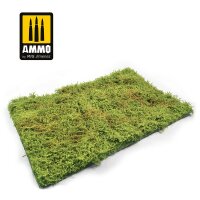 Wilderness Fields with bushes - spring  - plastic plate...