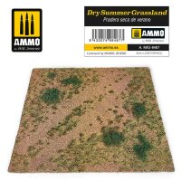 Dry Summer Grassland (245x245mm)