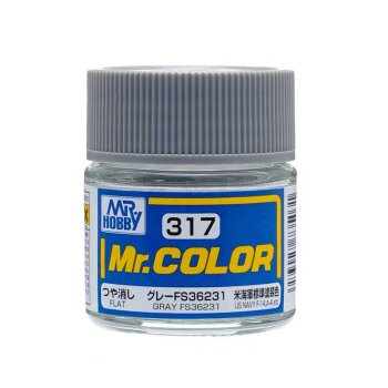 GRAY/GRAU FS36231 (10 ML)