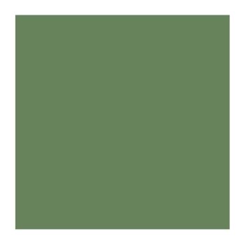 AIRCRAFT GRAY GREEN BS283 (10ML)
