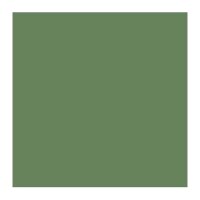 AIRCRAFT GRAY GREEN BS283 (10ML)