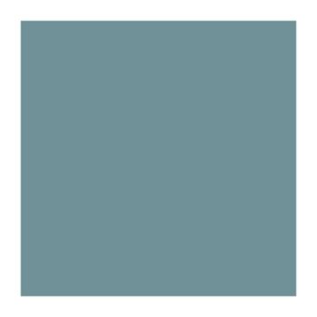 BLUE GRAY FS35189 (10ML)