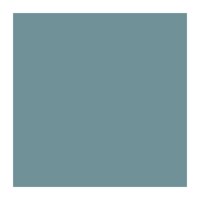 BLUE GRAY FS35189 (10ML)