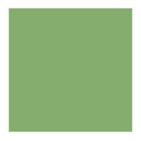 IJN TYPE 22 CAMOUFLAGE COLOR (10ML)