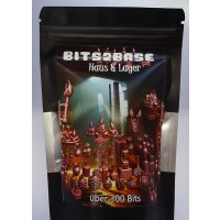 Haus und Lager Set (300 Bits)