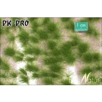 MN-Grasbüschel-Lang-Sommer(1:45+)