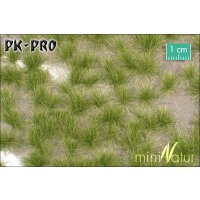 MN-Grasbüschel-Lang-Frühherbst-(1:45+)