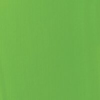 LXT- Basic  Limettengrün (22mL)