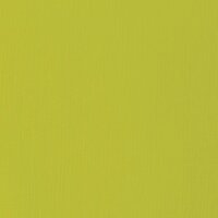 LXT- Basic  Olivgrün Hell (22mL)