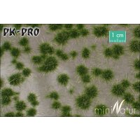 MN-Tufts-Summer-(1:45+)