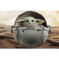 The Mandalorian: The Child