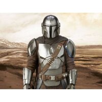 The Mandalorian: The Bounty Hunter