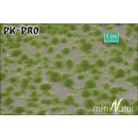 MN-Short-Tufts-Spring-(1:87)